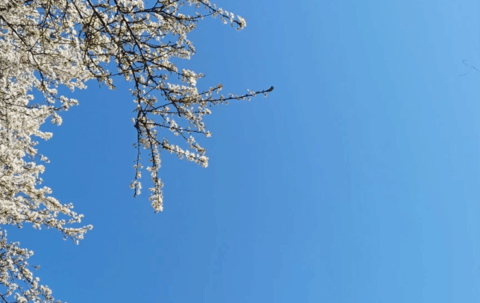 il cielo che ascolta