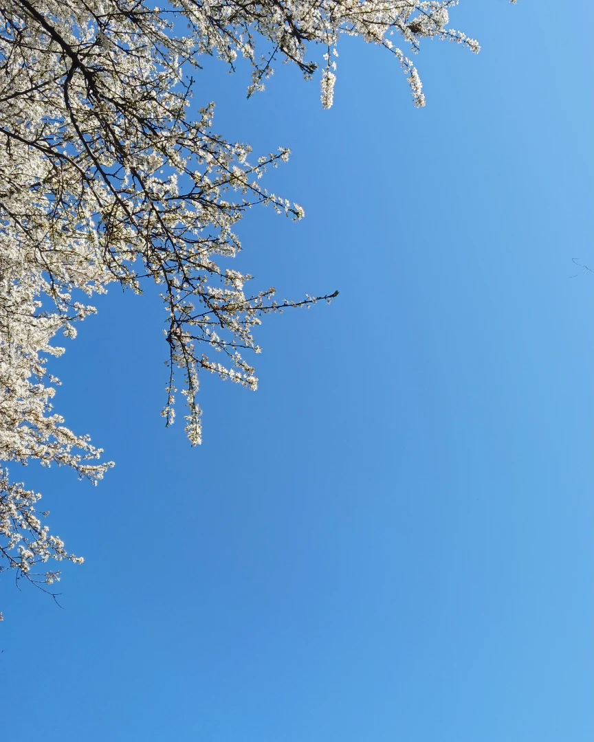 cielo il cielo che ascolta